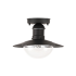 Vanjske stropne lampe