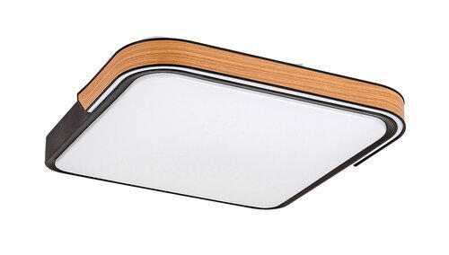 ARILD STROPNA LED PAMETNA SVJETILJKA 48W/3000-4000-6500K/1850lm/IP20
