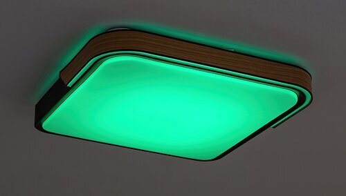 ARILD STROPNA LED PAMETNA SVJETILJKA 48W/3000-4000-6500K/1850lm/IP20