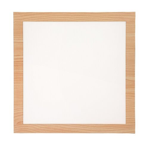 ALMOND STROPNA LED SVJETILJKA 12W/4000K/1260lm/IP20
