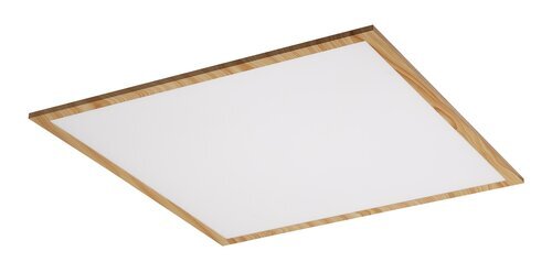 ALMOND STROPNA LED SVJETILJKA 40W/4000K/4200lm/IP20