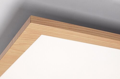 ALMOND STROPNA LED SVJETILJKA 40W/4000K/4200lm/IP20
