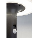 ALASKA LED VANJSKA SOLARNA SVJETILJKA 10W (77017)