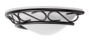 ATHEN ZIDNA PLAFONJERA 1x E14/60W/230V (3721)