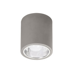 DONALD NAGRADNA I UGRADBENA RASVJETA 1x E27/60W/230V (2485)