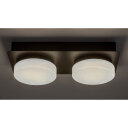 ATTICHUS LED STROPNA SVJETILJKA 11W/4000K/IP44 (75002)