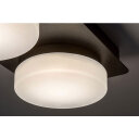 ATTICHUS LED STROPNA SVJETILJKA 11W/4000K/IP44 (75002)