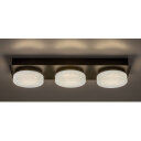 ATTICHUS LED STROPNA SVJETILJKA 18W/4000K/IP44 (75003)