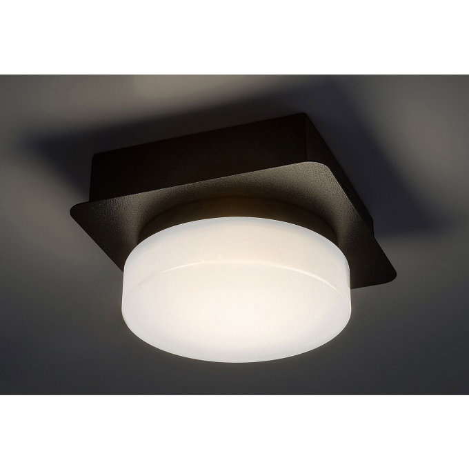 ATTICHUS LED STROPNA SVJETILJKA 5W/4000K/IP44 (75001)