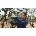 BOSCH AKU ŠKARE ZA VRT PRO PRUNER + 2 x 3,0Ah + GAL 12V-20