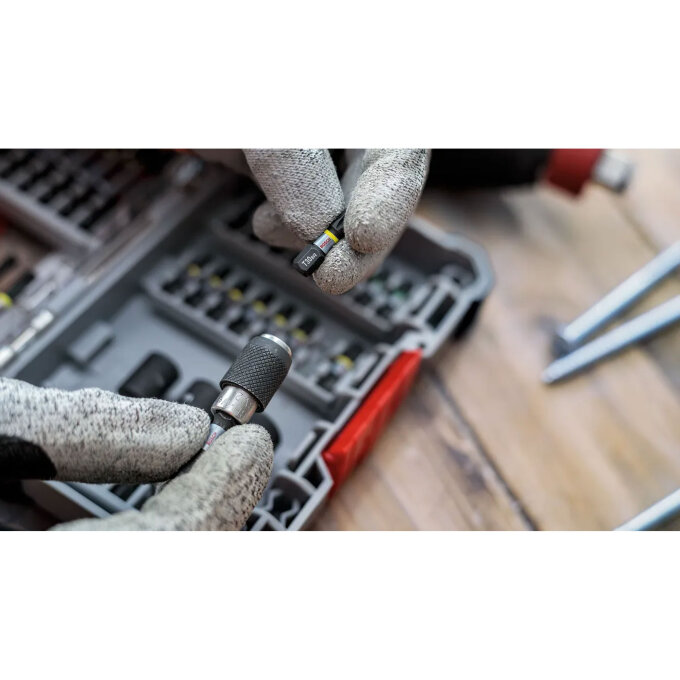 BOSCH BIT UDARNI TORX PRO T20 55 mm, 2 kom